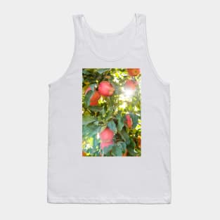 Branches of Red Apples and Autumn Sunshine Tank Top